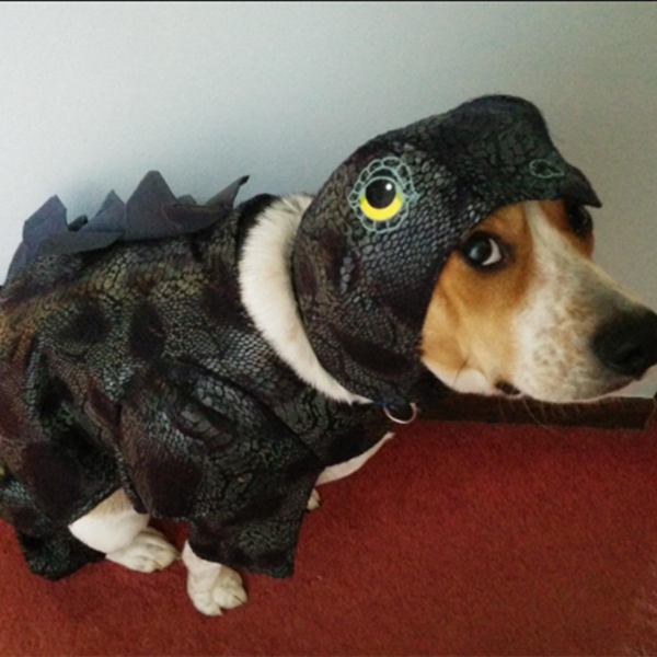 Dog Costume Dinosaur Cosplay